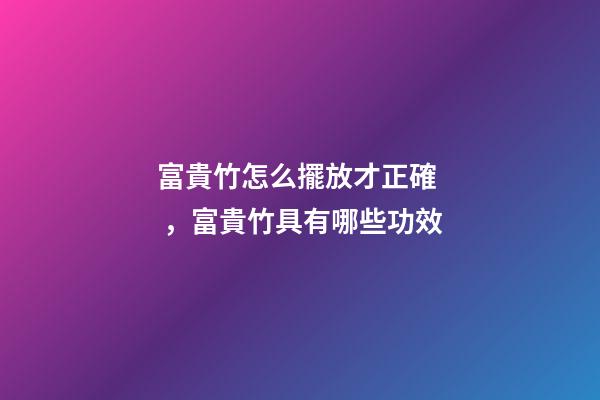 富貴竹怎么擺放才正確，富貴竹具有哪些功效